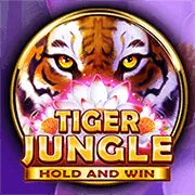 Luật chơi Slot Games tại BK8VIE