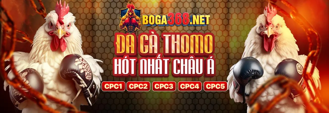 Tiền hoàn trả và đồng xu vàng