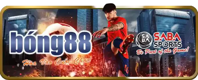 Ưu đãi độc quyền và phần thưởng đặc biệt cho thành viên VIP thể thao